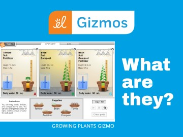 What are Gizmos?