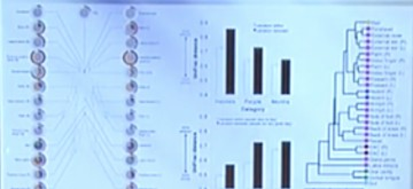 Friends with Benefits: The Human Microbiome