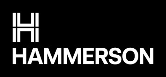 Hammerson Full Year Results 2024
