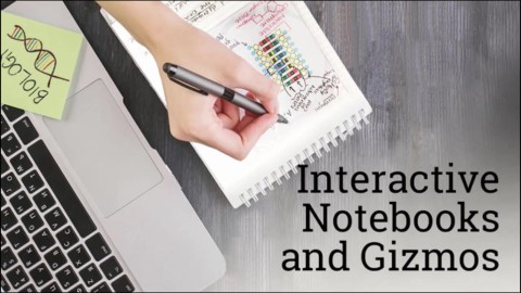 Interactive Notebooks and Gizmos