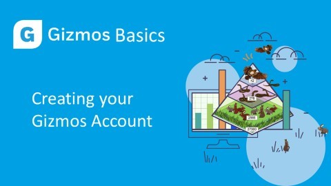 The Basics - Creating your Gizmos Account