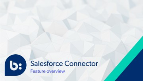 Bazaarvoice Salesforce Connector Overview
