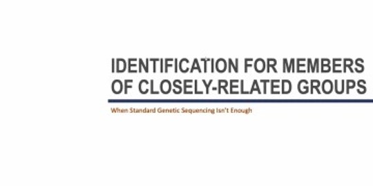 Species and strain-level Identification for Members of Closely Related Groups: Sequencing with Protein-Coding Targets and MLST