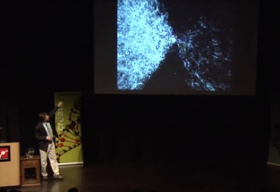 Our Mathematical Universe: Max Tegmark, PhD