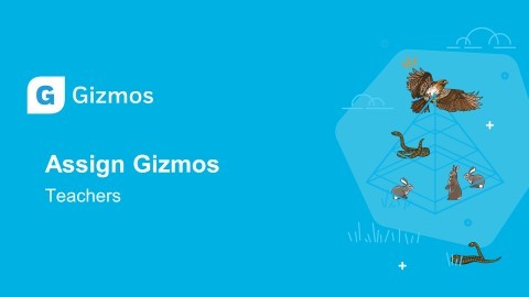 Assign Gizmos