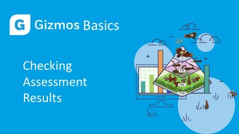 The Basics - Checking Assessment Results